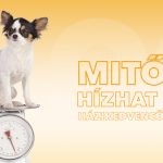 Blog-mitol-hizhat-el-hazi-kedvencunk
