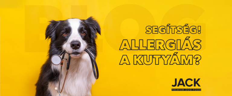 kutya kutyatáp kutyaetetés allergia