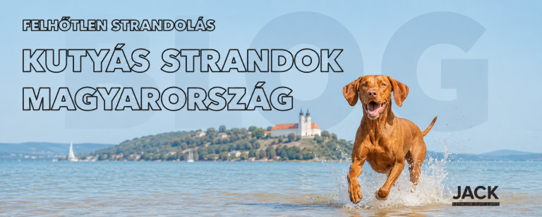 sttrand blog